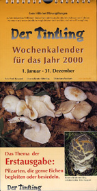 Deckblatt Kalender 2000