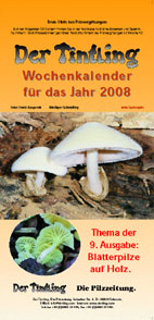 Deckblatt Kalender 2008 Blätterpilze an Holz