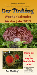 Deckblatt Kalender 2013 Pilze an Nadelgehölzen