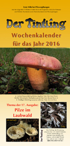Deckblatt Kalender 2016 Pilze im Laubwald