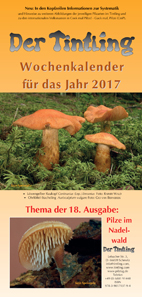 Deckblatt Kalender 2017 Pilze im Nadelwald